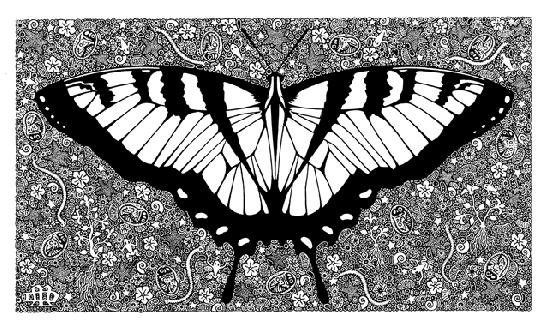 Butterfly (Motl) 1