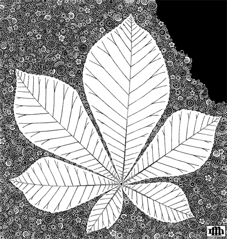 Leaf (List)