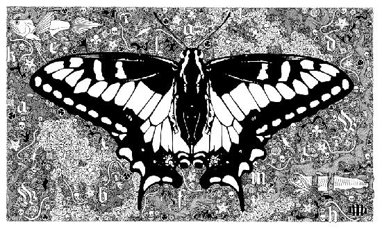 Butterfly (Motl) 3