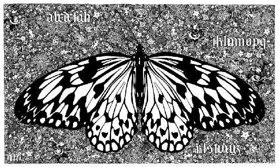 Butterfly (Motl) 2
